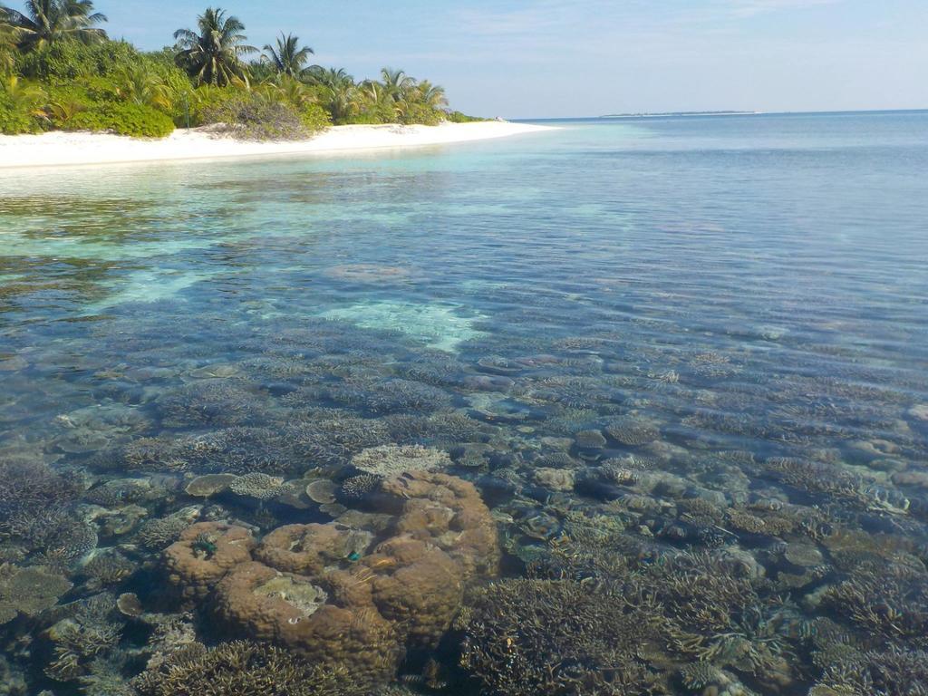 New Moon Village Ukulhas Island Exterior photo